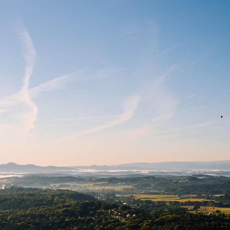 Schilcherlandleben - Hochgrail Greisdorf Dış mekan fotoğraf