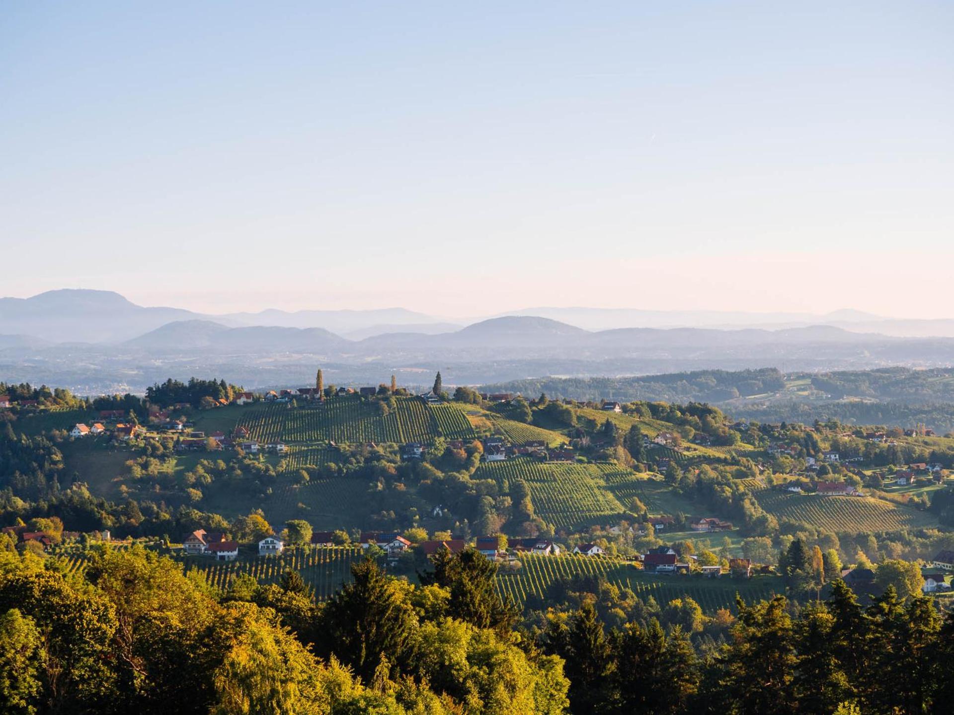 Schilcherlandleben - Hochgrail Greisdorf Dış mekan fotoğraf